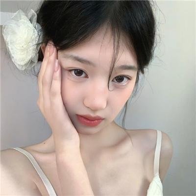 小老鼠历险记
